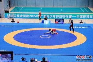  电竞裁判严格执法，确保比赛公平公正