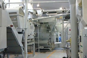  电竞青训体系完善输送优质后备力量  