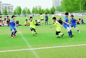  青少年篮球训练营，百名新苗开启特训