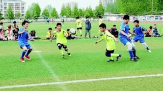  青少年篮球训练营，百名新苗开启特训