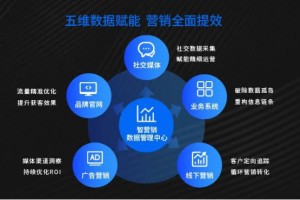  智能科技赋能训练，大数据助力精准选材  